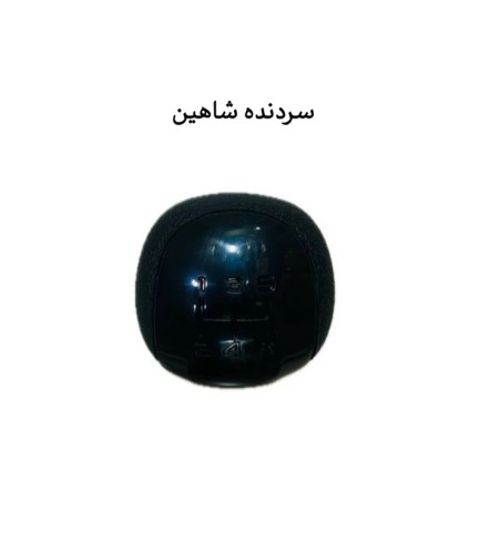 سردنده شاهین