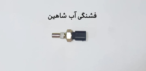 فشنگی آب شاهین