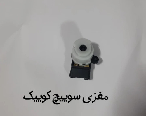 مغزی سوییچ کوییک
