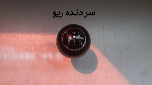 سردنده ریو