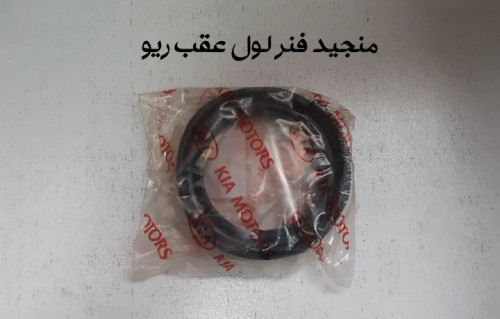 منجید فنرلول عقب ریو