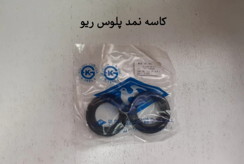 کاسه نمد پلوس ریو