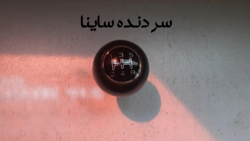 سر دنده ساینا