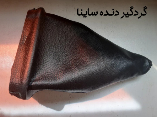 گردگیر دنده ساینا