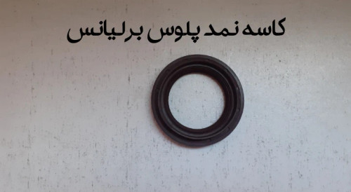 کاسه نمد پلوس برلیانس300