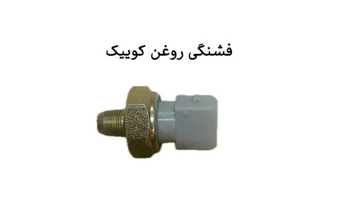فشنگی روغن کوییک